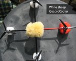 shitesheepcopter.jpg