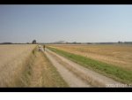 Landeanflug nach 102 Min FPV und 34 Grad in der Sonne 5.jpg