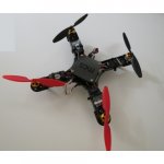 miniquad (10)-500x500.JPG