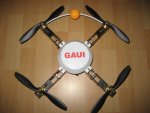 Gaui 330X-S_02.JPG